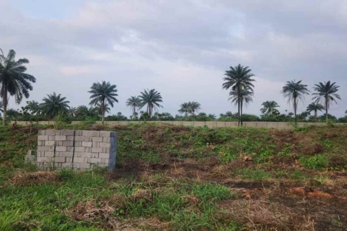 A New Chapter: AROLIFE Acquires 100 Acres for a National Humanitarian Headquarters